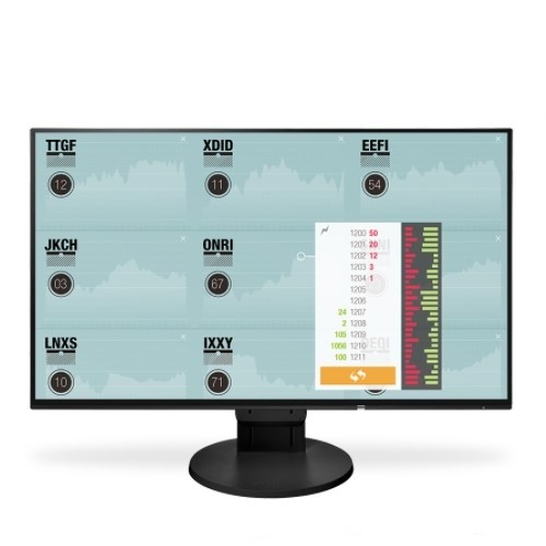 FlexScan EV2451 23.8 Color LCD Monitor