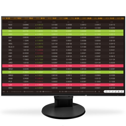 FlexScan EV2456 24.1 Color LCD Monitor